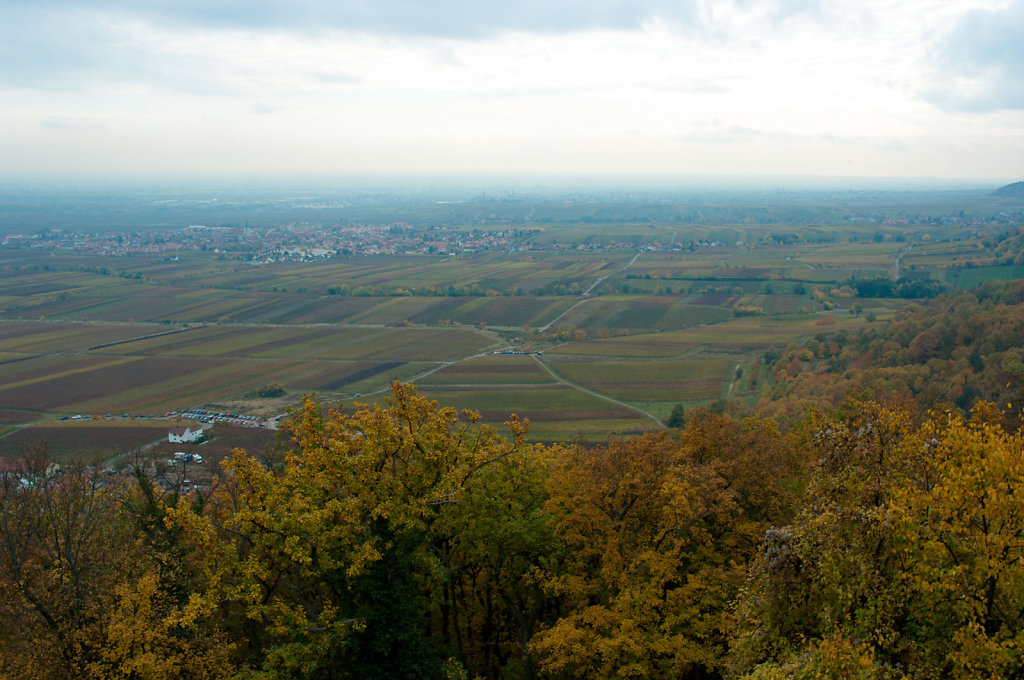 IMG0909.jpg