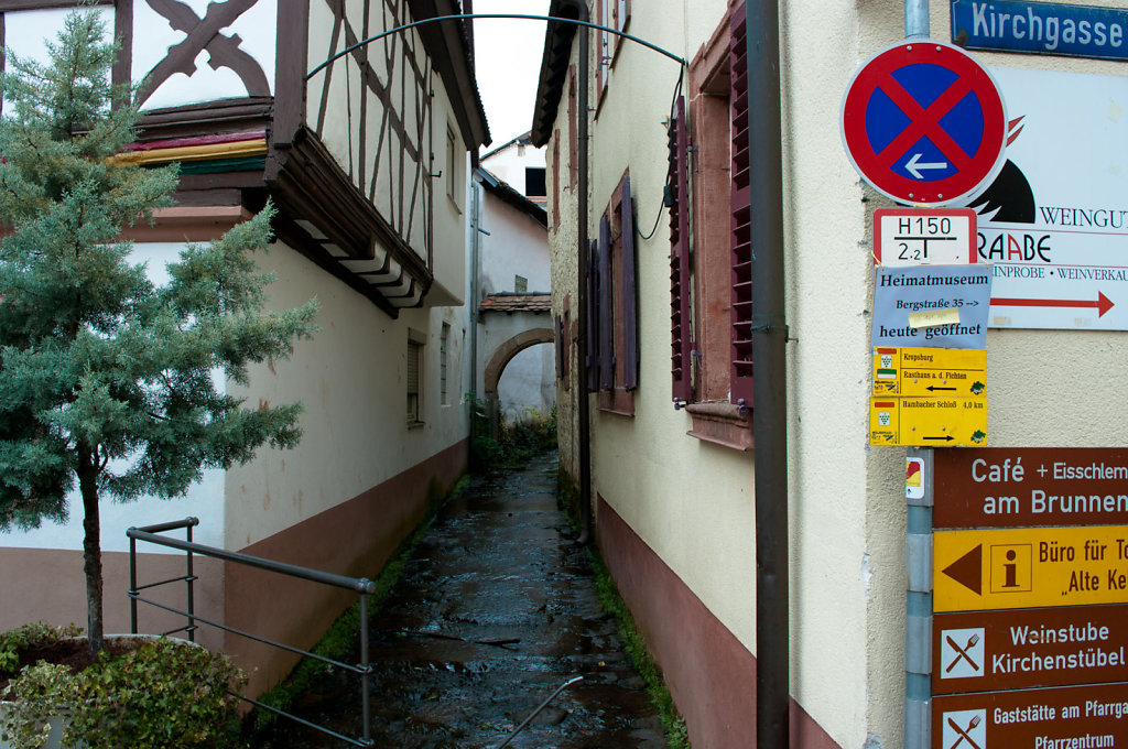 IMG0976.jpg