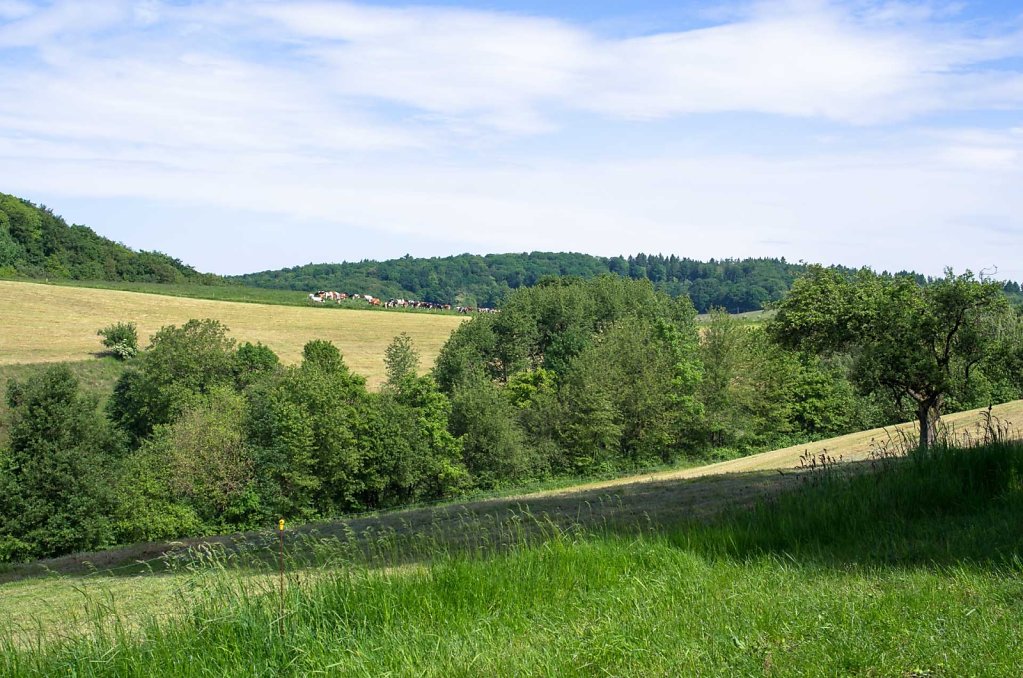 IGP0081.JPG
